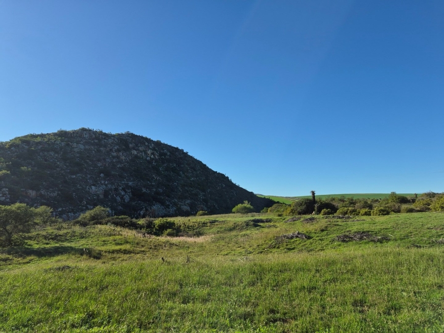 Commercial Property for Sale in Swellendam Rural Western Cape